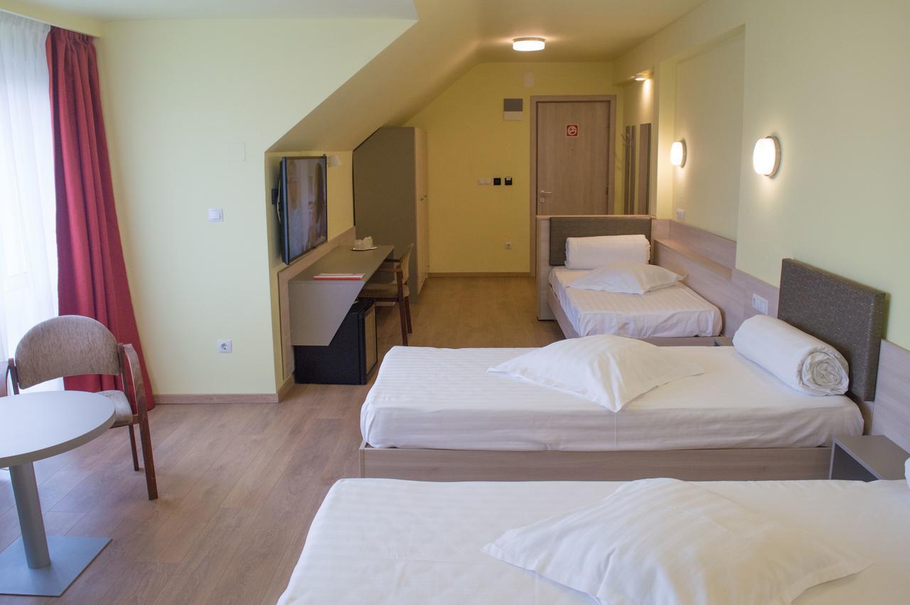 Vila Rosa 2 Hotel Cluj-Napoca Buitenkant foto