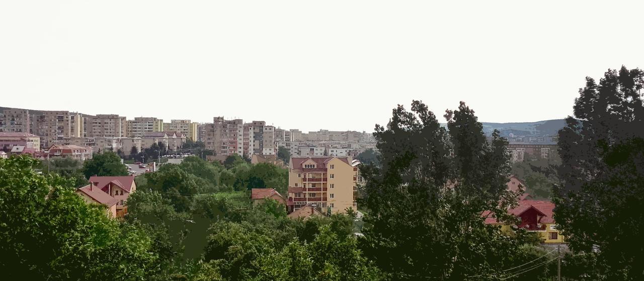 Vila Rosa 2 Hotel Cluj-Napoca Buitenkant foto